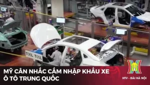 Tư Vấn Luật Nhập Khẩu Xe Ô Tô Từ Mỹ: Quy Định Và Thủ Tục Cần Biết