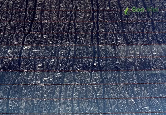 Nguyên Nhân Gây Ra Các Vết Ố Mốc Trên Kính Ô Tô