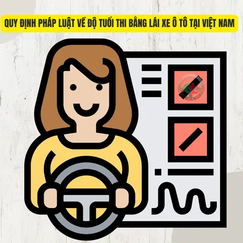 Quy Định Pháp Luật Về Độ Tuổi Thi Bằng Lái Xe Ô Tô Tại Việt Nam