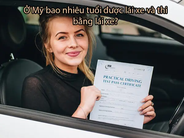 Tuổi Được Lái Xe Ô Tô Ở Nhật Là Bao Nhiêu?