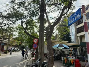 Ve Giao Thong Xe Ô Tô Tren Duong