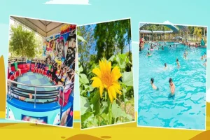 Khu Du Lịch Đảo Ngọc Xanh Số Điện Thoại, Địa Chỉ, Giờ Mở Cửa