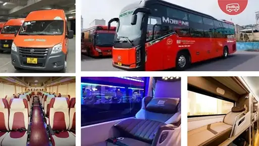 Dịch Vụ Vận Chuyển Hàng Hóa