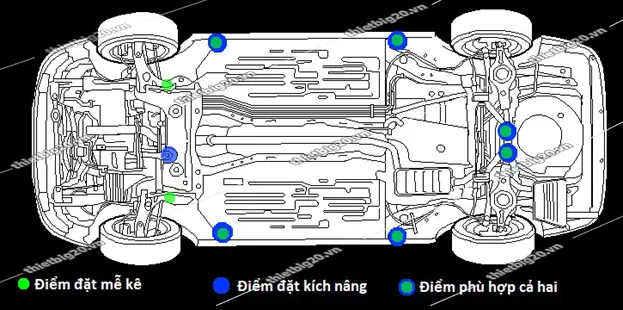 Nhận Biết Các Điểm Nâng Cơ Bản Cho Kích Và Mễ Kê