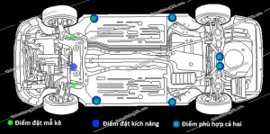 Nhận Biết Các Điểm Nâng Cơ Bản Cho Kích Và Mễ Kê