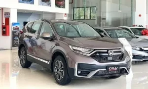 Phân Tích Xu Hướng Thị Trường Xe Hơi: Vnexpress Giá Xe Ô Tô Tháng 8