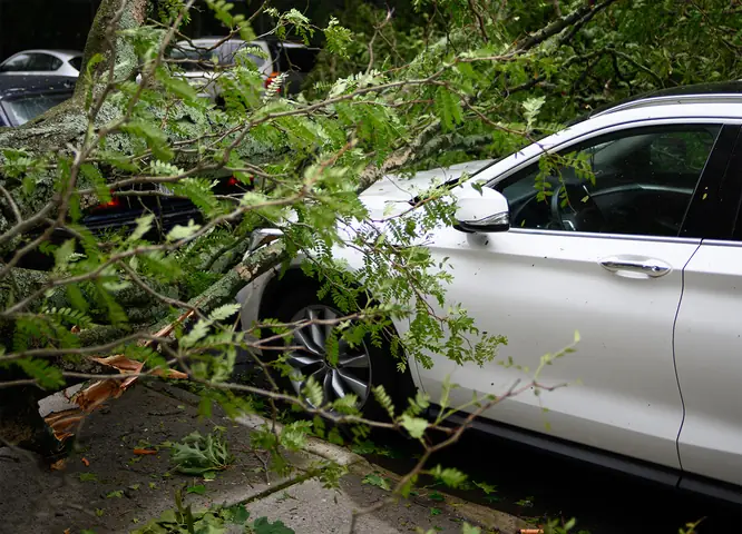 Bảo Hiểm Thân Vỏ Ô Tô Có Bắt Buộc Không?