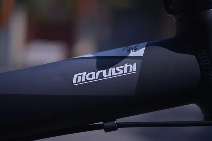 Xe Đạp Giống Ô Tô