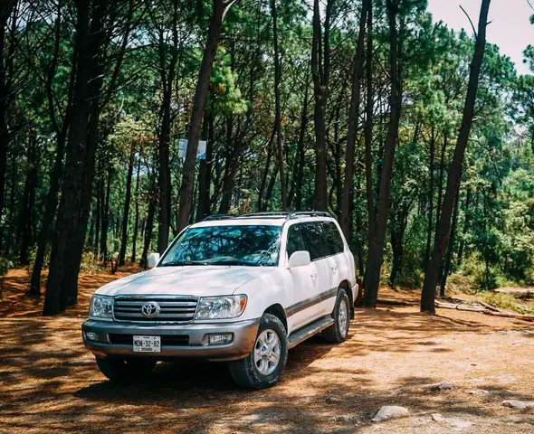 Lau Sáº¡ch, Lau Khô Xe