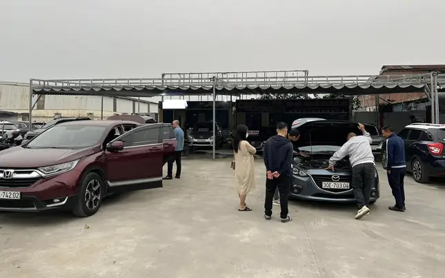 Huy Động "hoa Tiêu" Tìm Nguồn Cung