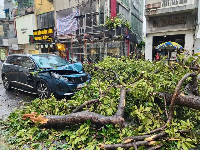 Mưa To Gió Lớn, Cây Đổ Hàng Loạt Đè Nhiều Ô Tô Ở Tp.hcm