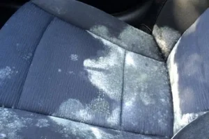 Nguyên Nhân Khiến Nước Vào Sàn Xe Ô Tô