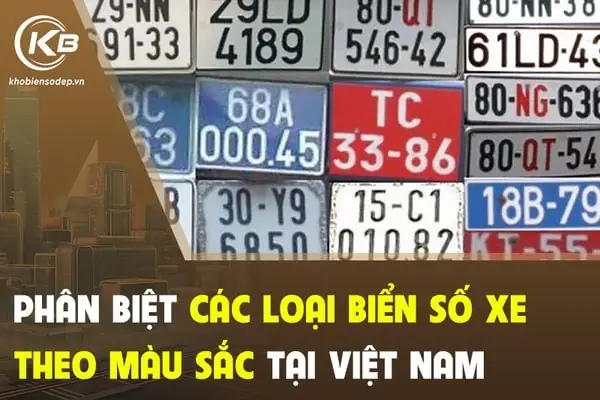 Phân Biệt Các Loại Biển Số Xe Theo Màu Sắc Tại Việt Nam