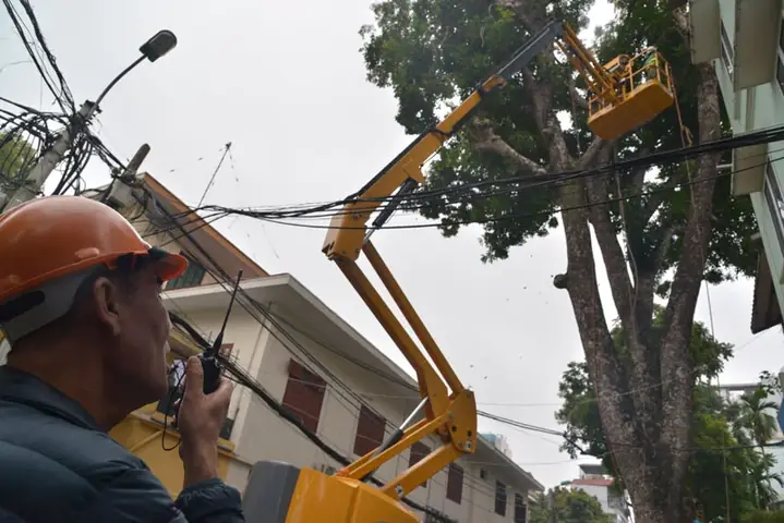 Tại Sao Cần Sử Dụng Xe Cắt Tỉa Cây Chuyên Dụng?