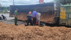 Xe Ô Tô Chở Câu Gỗ Bach Đàn