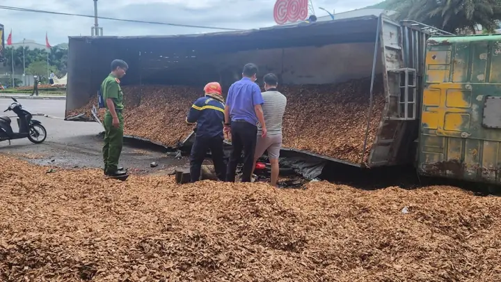 Xe Ô Tô Chở Câu Gỗ Bach Đàn