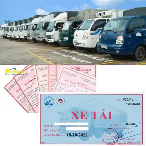 Điều 55. Quy Định Về Cấp Phù Hiệu Vận Tải, Biển Hiệu