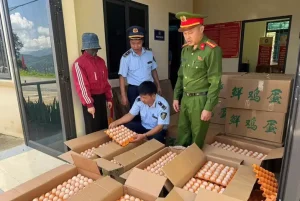 Quyết Liệt Xử Lý Hàng Nhập Lậu Và Thực Phẩm Bẩn