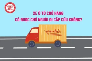 Xeô Tôchở Hàng Có Được Chở Người Đicấp Cứutrong Thùng Xe Hay Không?