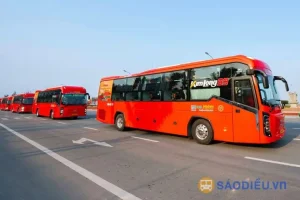 Xe Giườnglimousine, Giường Cabinfuta Hà Sơn