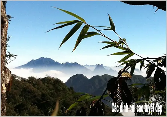 Có Gì Nổi Bật Khi Thuê Xe Ô Tô Tự Lái Đi Du Lịch Lai Châu Không? Câu Trả Lời Là Có Và Thậm Chí Là Rất Nhiều Bạn Nhé!