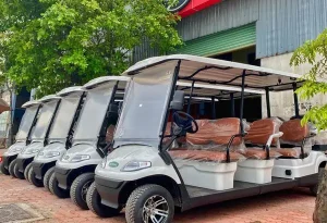 Hiện Nay Tại Các Điểm Du Lịch Thường Xuất Hiện Những Loại Phương Tiện Ô Tô Điện Chở Khách ( Xe Điện Du Lịch ), Nó Được Phục Vụ Nhu Cầu Chuyên Chở Hàng Hóa Hoặc Hành Khách Tại Các Điểm Resort, Các Địa Điểm Tham Quan Du Lịch, Sân Bay, Bến Xe. Nhưng Nhiều Người Vẫn Chưa Biết Khi Lái Những Loại Phương Tiện Này Thì Cần Gplx Loại Gì, Ngoài Gplx Ra Phải Cần Những Tiêu Chuẩn Gì Đê Lái Được Loại Phương Tiện Này?