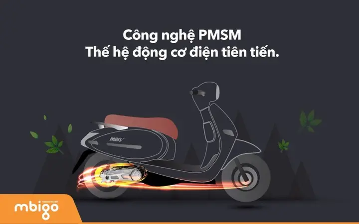 Động Cơ Pmsm Đặt Ở Trung Tâm Của Xe Thay Vì Nằm Ở Bánh Sau