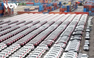 O To Gia Re O At Ve Viet Nam Hinh Anh 1