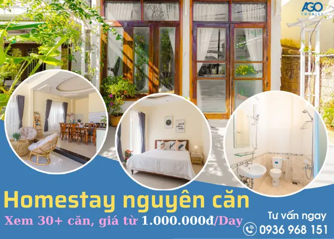 Nhà Xe Tân Quang Dũng – Xe Giường Đôi 22 Chỗ Nhà Xe Tân Quang Dũng – Xe Giường Đôi 22 Chỗ