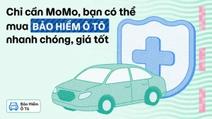 Bảo Hiểm Ô Tô Bắt Buộc