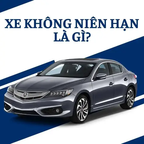 Luáº­t Lá» Và Quy Äá»nh Äá»a Phæ°æ¡ng