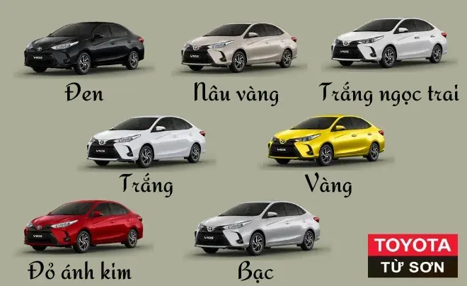 Toyota Vios Có Mấy Màu? Tư Vấn Chọn Màu Xe Hợp Phong Thủy