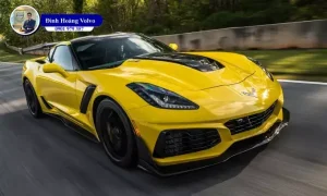 Màu Vàng Sang Trọng, Cá Tính