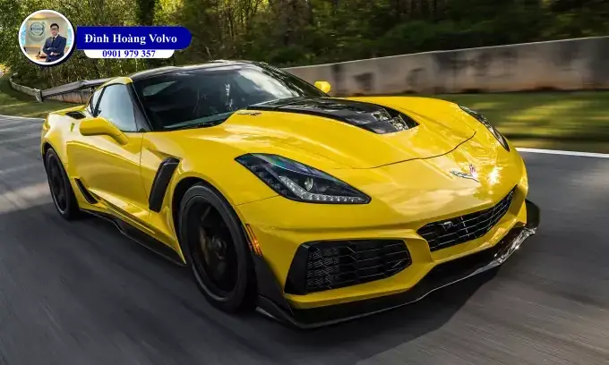 Màu Vàng Sang Trọng, Cá Tính