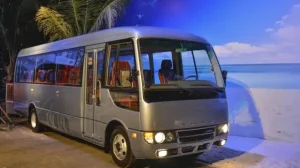 Hình Ảnh Fuso Rosa 2025