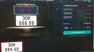 Giao Diện Trang Web Đấu Giá Biển Số Ô Tô (https://dgbs.vpa.com.vn) (ảnh Chụp Màn Hình)