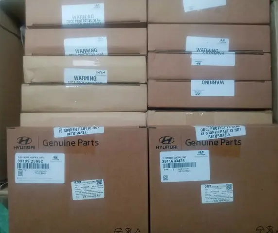 Ecu Huyndai New 100%