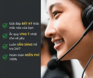 Mua Ắc Quy Cho Peugeot 5008 Ở Đâu?