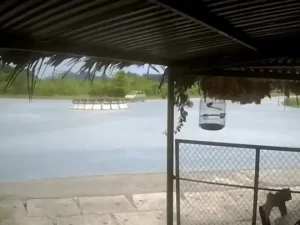 Cô Gái Lái Mô Tô Phân Khối Lớn Tông Lật Ô Tô: Chưa Xác Minh Được Tốc Độ Xe Máy - Ảnh 1.