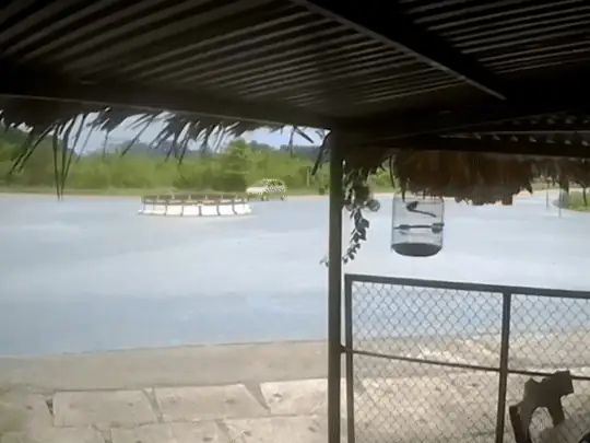 Cô Gái Lái Mô Tô Phân Khối Lớn Tông Lật Ô Tô: Chưa Xác Minh Được Tốc Độ Xe Máy - Ảnh 1.