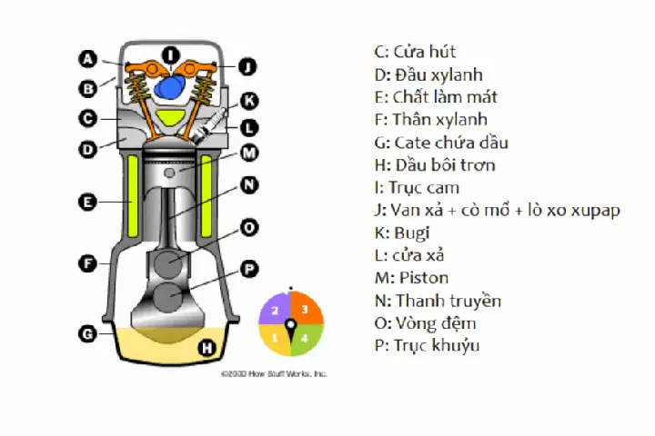 Dáº§u Nhá»t Lá»t Vã O Buá»ng Äá»t