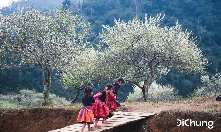 Những Điều Cần Lưu Ý Khi Đi Xe Ô Tô Từ Hà Nội Lên Sapa