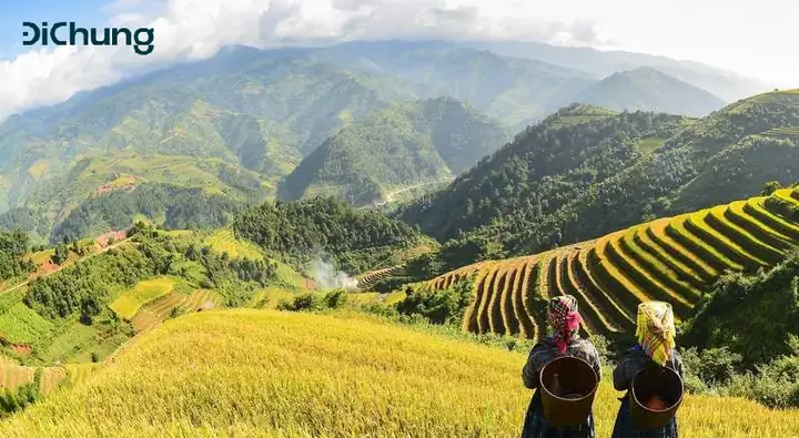 Tìm Xe Hà Nội Sapa Đi Sapa Ngắm Cảnh Đẹp