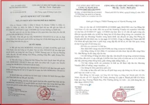 Làm Rơi 42 Xe ô Tô Xuống Biển, Tàu Biển Morning Vinafco Bị Tòa án Hải Phòng Phát Lệnh Bắt Giữ - Ảnh 1