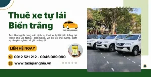 Xe Ô Tô Tự Lái 24h Gia Lai: Tổng Quan Và Những Điều Cần Biết