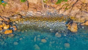 Xe Ô Tô Từ Tuy Hoa Đi Quy Nhơn