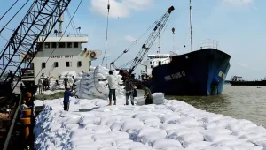 Xuất Khẩu Gạo Bằng Đường Biển Từ Việt Nam Đi Kuwait