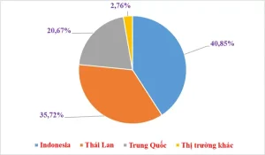 Ô Tô Trung Quốc Ồ Ạt Vào Việt Nam