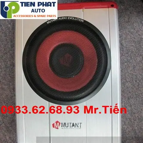 Chế Độ Bảo Hành Loa Sub Tại Tp.hcm