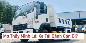 Xe Tai Nạn Xe Ô Tô Thì Đánh Con Gì? Hướng Dẫn An Toàn Và Pháp Lý